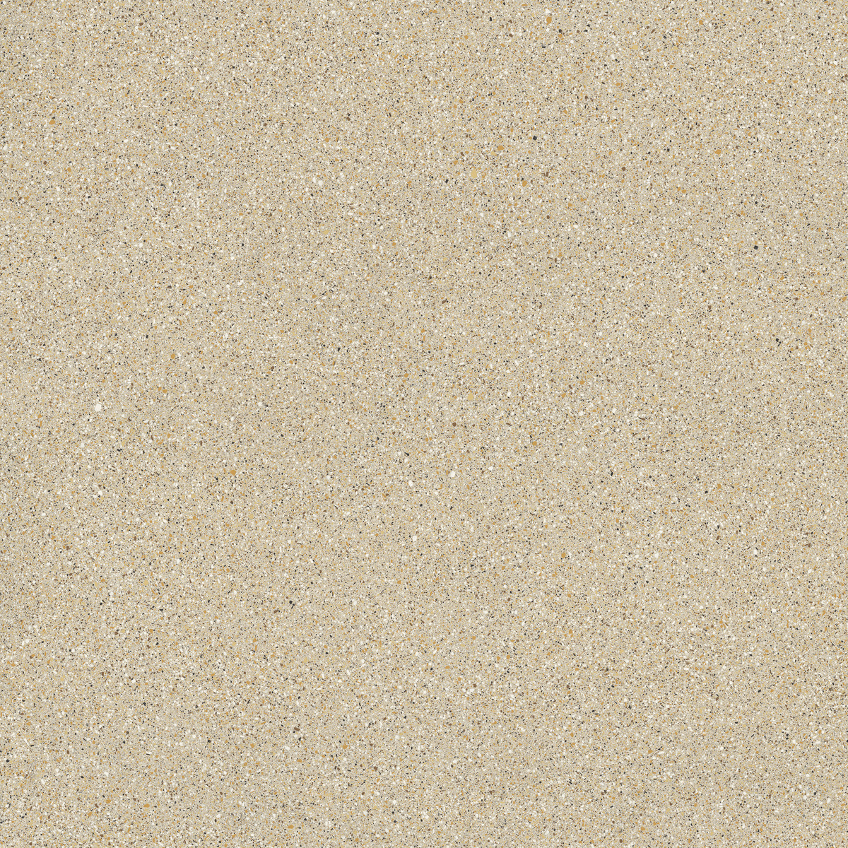 foscari levigato lucidato sq.