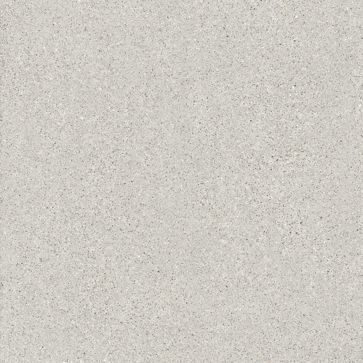 certosa levigato lucidato sq.