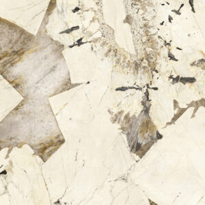 patagonia select lapped sq.