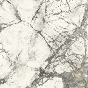 calacatta grey lucidato sq.