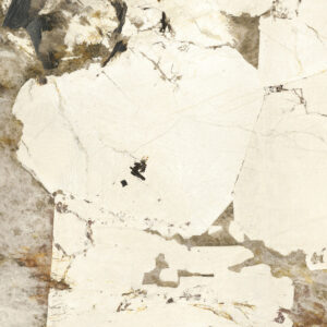 patagonia lapped sq.