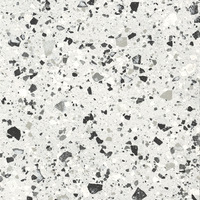 venice silver levigato