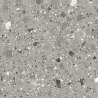 venice grey levigato