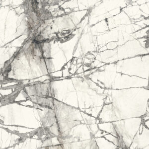 calacatta grey lucidato sq.