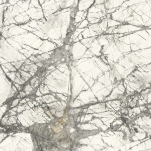 calacatta grey lucidato sq.