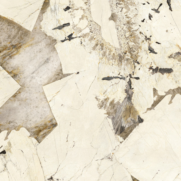 patagonia select lapped sq.