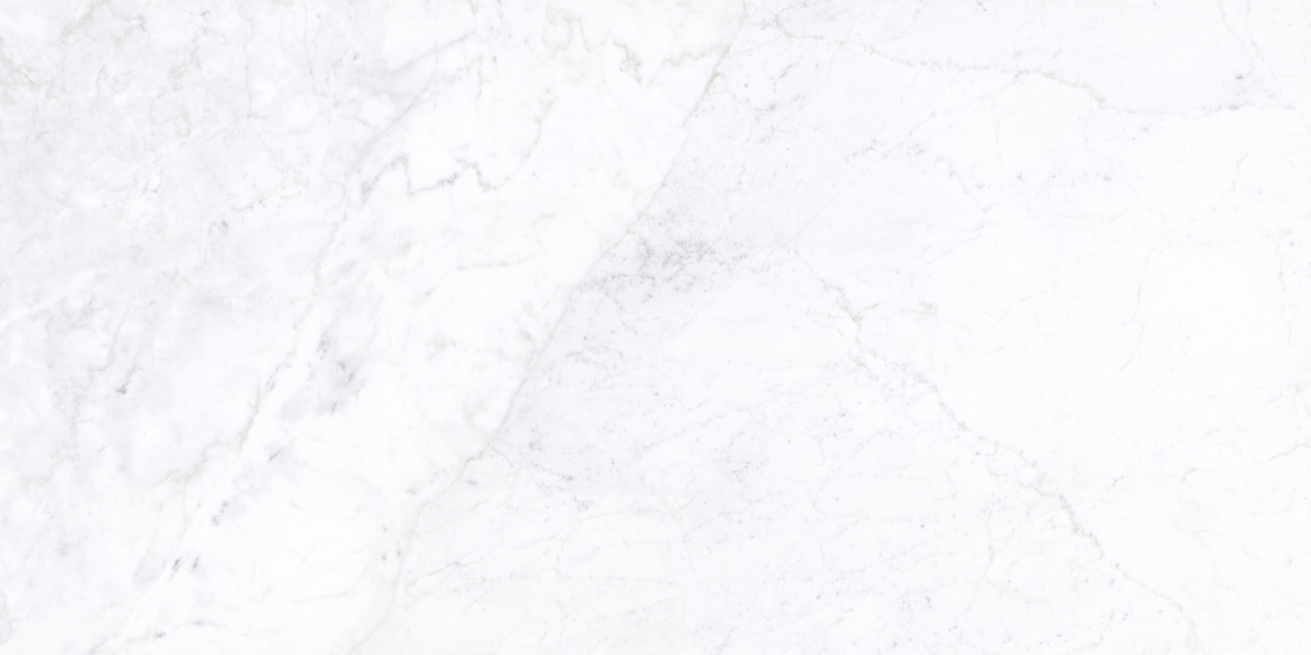 statuario delicato prelucidato sq.