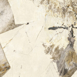 patagonia select prelucidato sq.