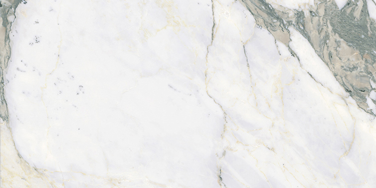 arabescato prelucidato sq.