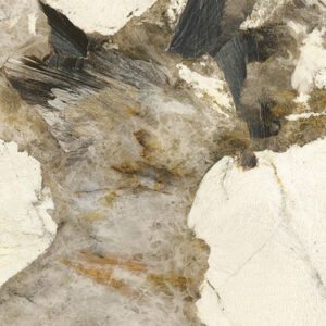 patagonia prelucidato sq.