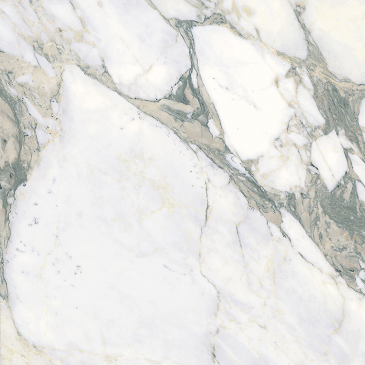 arabescato prelucidato sq.