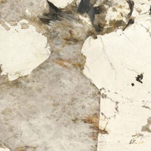 patagonia prelucidato sq.