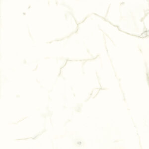 white calacatta silky sq.