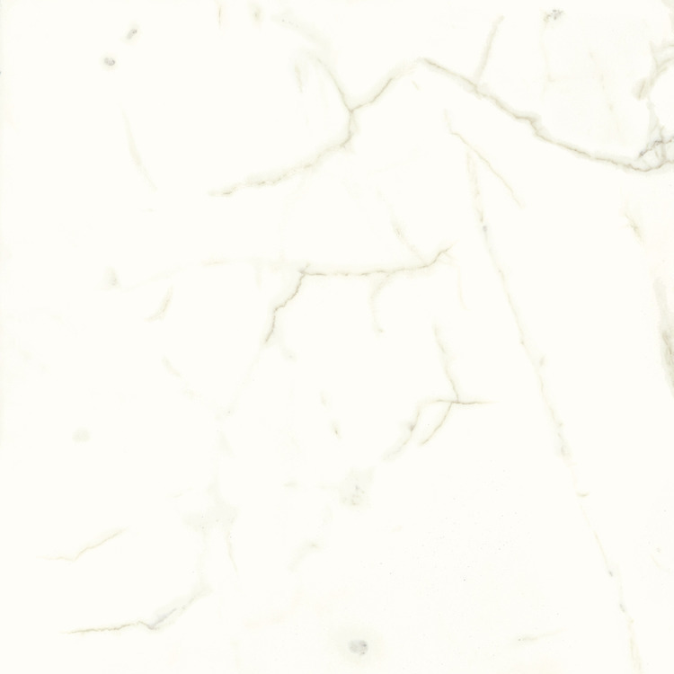 white calacatta silky sq.