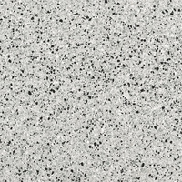 Fmg Rialto Silver Levigato Polished 20x20