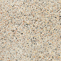 FMG Rialto Rialto Ivory Levigato 20x20