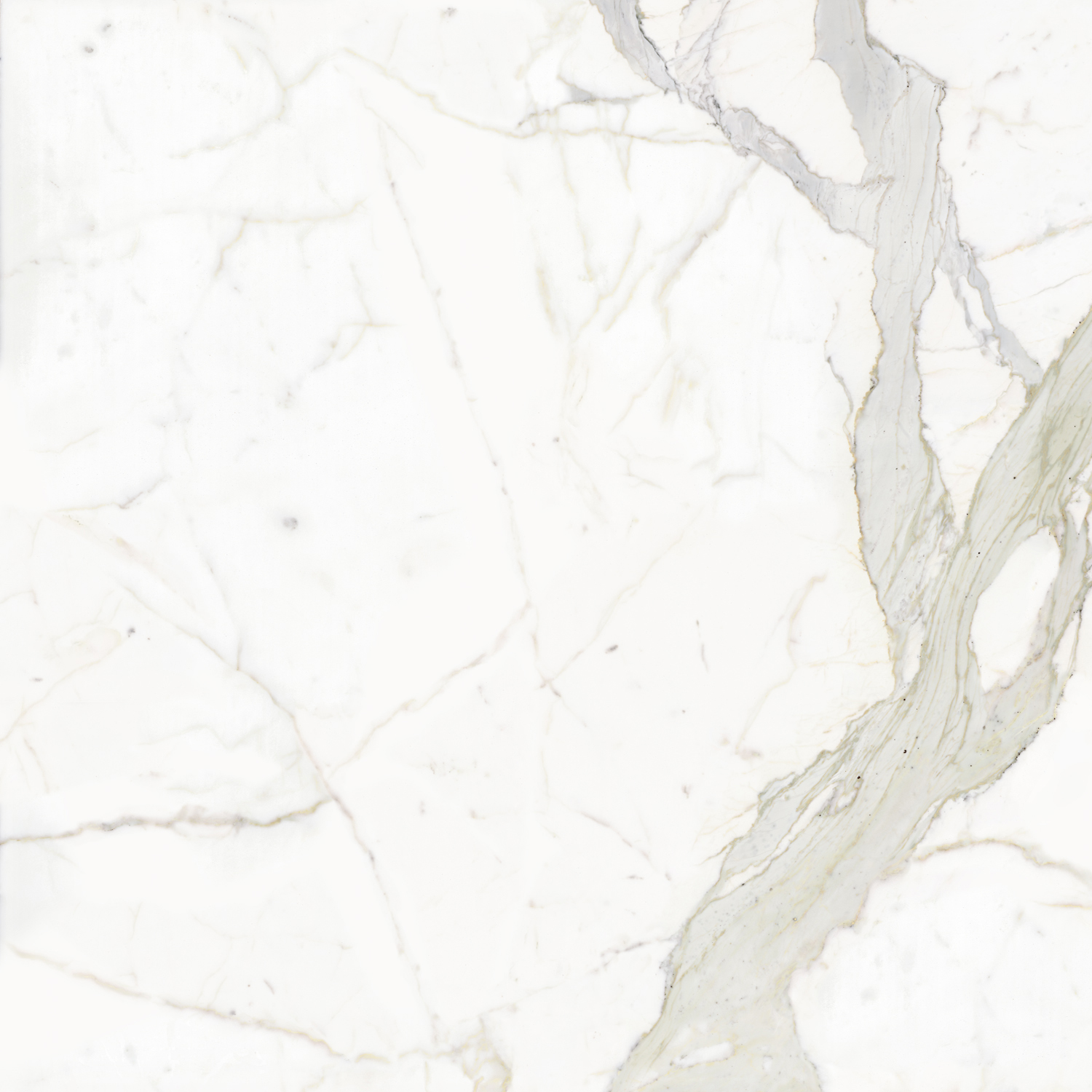 FMG Marmi Maxfine Calacatta POLISHED - obrazek 2