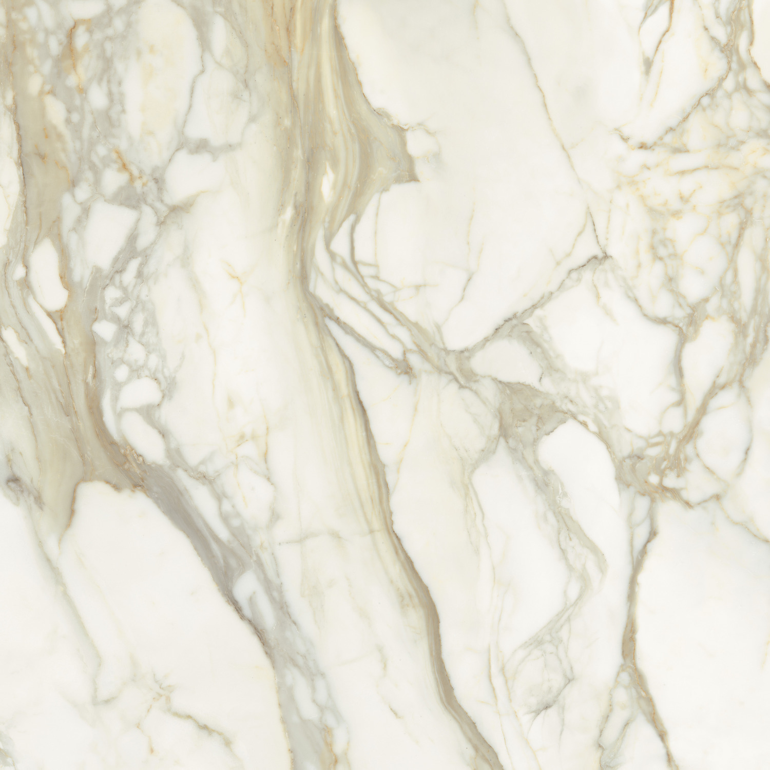 FMG Marmi Maxfine Calacatta oro POLISHED - obrazek 2