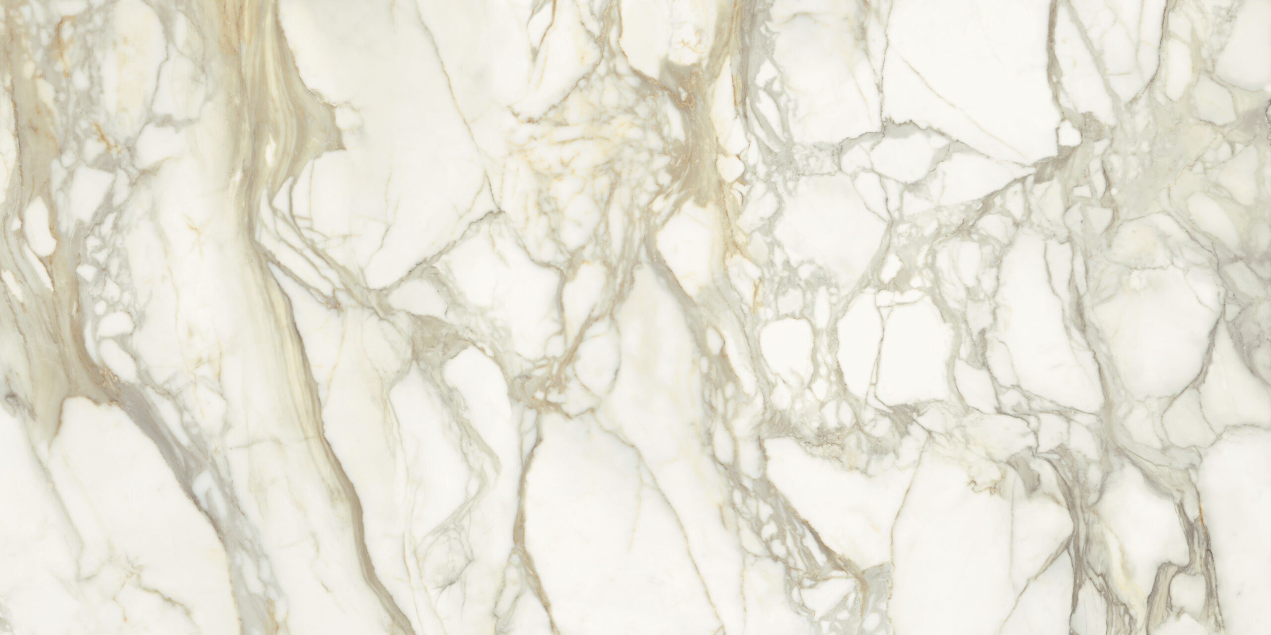 FMG Marmi Maxfine Calacatta oro POLISHED