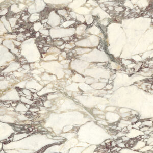 FMG Marmi Maxfine Breccia medicea POLISHED