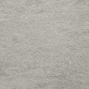FMG Quarzite Cenere Natural PLUS