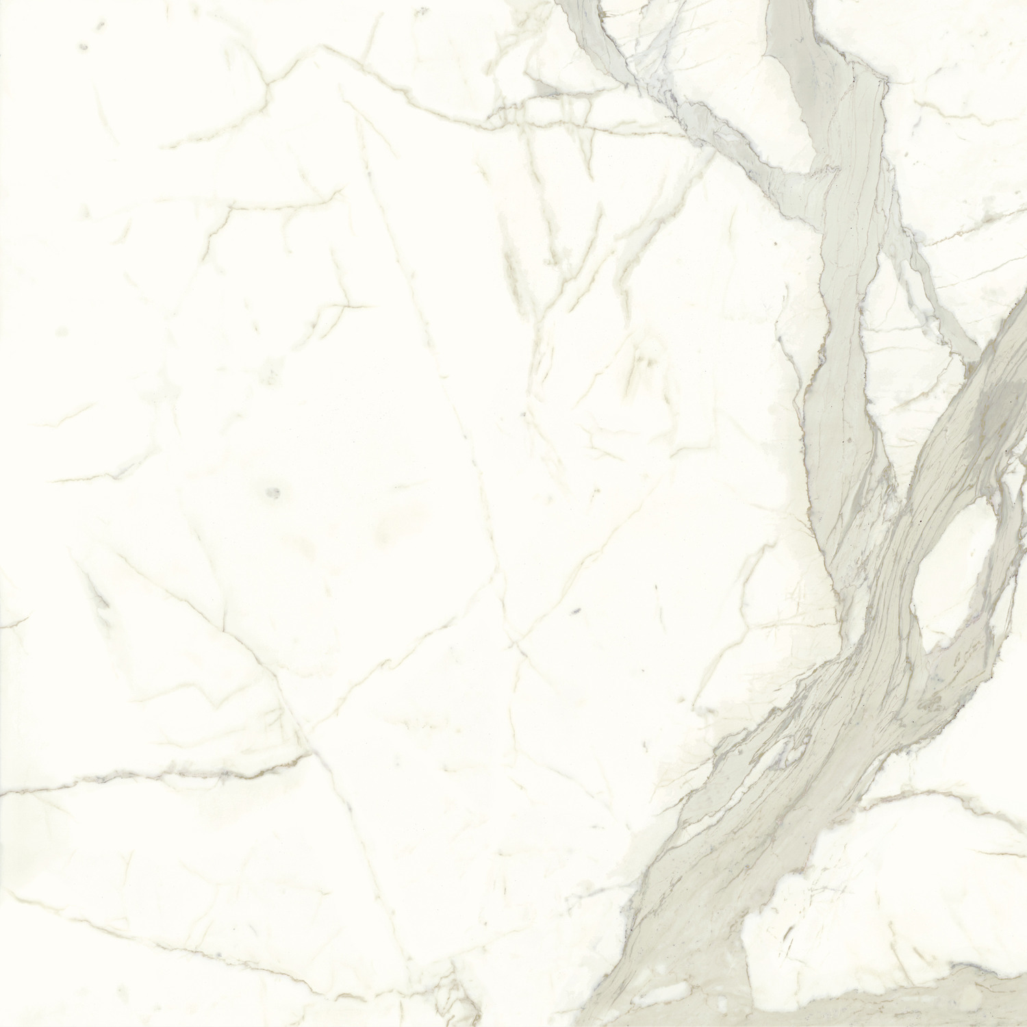 FMG Marmi Maxfine White calacatta SILKY - obrazek 2