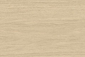 Iris Armonie Inverno ANTISLIP 120x20