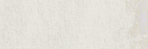 Iris Diesel CAMP Army white canvas MATT 10x30