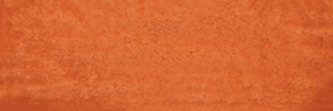 Iris Maiolica Arancio GLOSSY 10x30