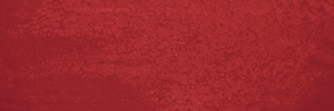 Iris Maiolica Rosso GLOSSY 10x30