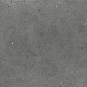 Iris Whole Stone Grey ANTISLIP