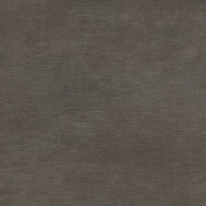 Iris Theke Acciaio Brunito LAPPED 270x120
