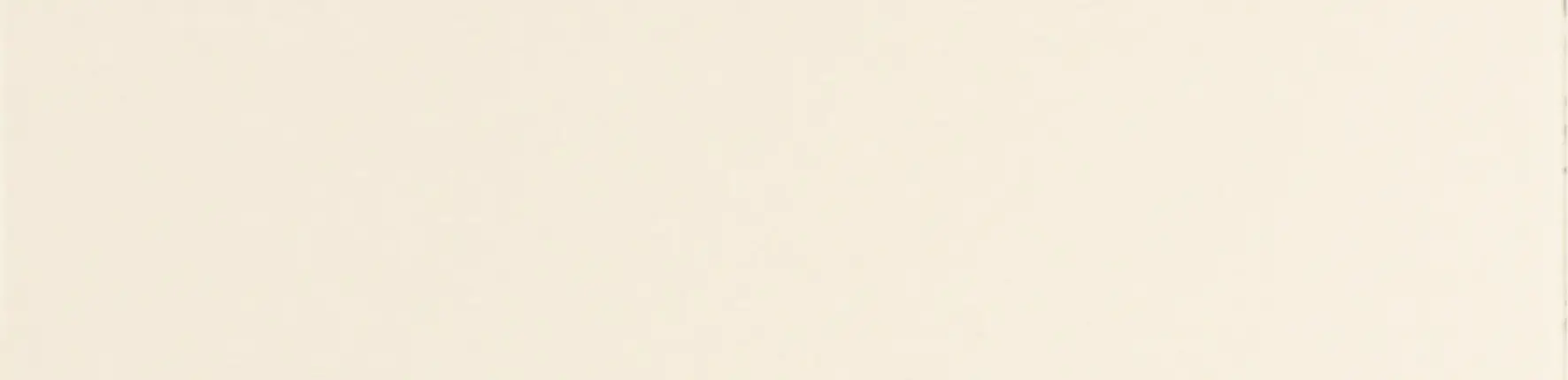 Grazia Brera Listello Sale MATT 7,3x30